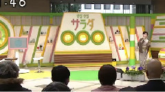 矢車草