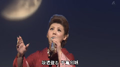 泉州戀しぐれ
