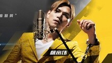 真相禁區 電影《真相禁區》同名主題曲