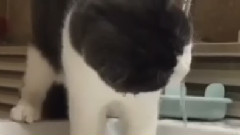 南太鉉ins更新兩則