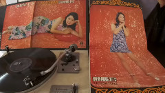 少年愛姑娘(1973年香港麗風唱片黑膠版)