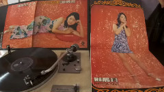 路邊的野花不要采(1973年香港麗風唱片黑膠版)