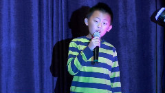 少年老成的悲傷