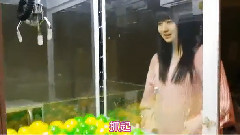 BBQ755 江龍抓球球短視頻