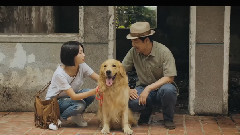 電影<一切都好>終極版預告片(賈樟柯彩蛋)