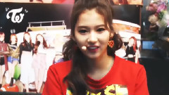 Sana 蠢萌集錦