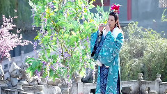 羋月傳