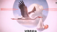 電影<逗鳥外傳>先導預告片