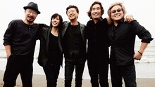 アロエ 現場版 2015