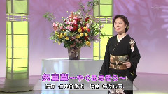 矢車草
