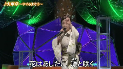矢車草