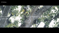 Almost Lover(無緣的愛人)