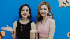 宣美&惠林新年問候 - SBS人氣歌謠 16/01/03