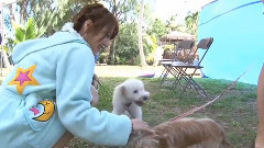 AKB48 42nd Single 唇にBe My Baby Type-C DVD特典映像テラみな ?812テラバイトから厳選した高橋みなみ傑作集?