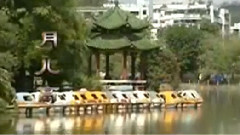 民樂群星 - 月兒高 琵琶版