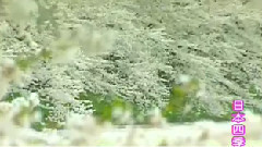 民樂群星 - 大海啊故鄉 琵琶版