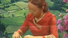 民樂群星 - 井岡山上太陽紅 古箏獨奏