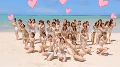 AKB48 - 拉布拉多尋獵犬