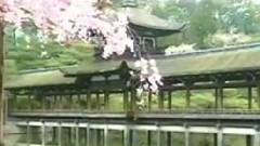 民樂群星 - 聰明累 洞簫版