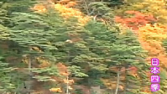 民樂群星 - 敖包相會 中胡獨奏