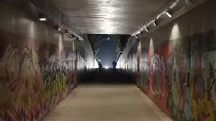 自由靈魂隨心所向 Free