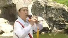 民樂群星 - 傣寨情歌 葫蘆絲版