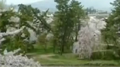 民樂群星 - 櫻花 洞簫版