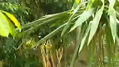 民樂群星 - 不了情 絲竹音樂