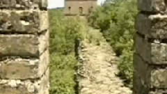 民樂群星 - 奔馳在千里草原 二胡版