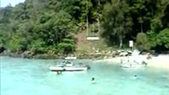 民樂群星 - 采花 二胡版