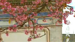 民樂群星 - 一剪梅 民樂合奏