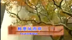 民樂群星 - 相思風雨中 民樂合奏
