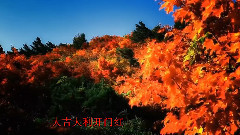 喜氣洋洋迎新春
