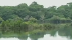 民樂群星 - 草原夜色美 合奏版