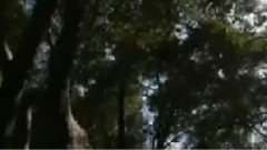 民樂群星 - 靈魂的故鄉 合奏版