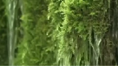 民樂群星 - 向往神鷹 合奏版