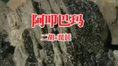 民樂群星 - 阿叩巴瑪 合奏版