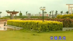 民樂群星 - 紫竹調 合奏合奏