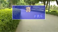 民樂群星 - 喜 彈撥樂