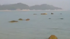 民樂群星 - 鬧元宵 古箏版