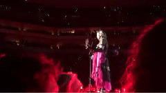 Rebel Heart(巡回演唱會飯拍版)