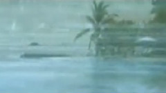 民樂群星 - 步步高 廣東音樂