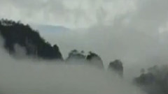 民樂群星,音樂短片 - 采茶忙