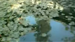 民樂群星 - 天山笛音 笛子版