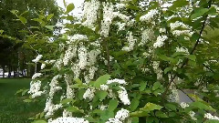 俄羅斯鄂木斯克 2014