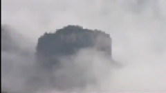 民樂群星,音樂短片 - 雨中蓮