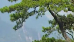 民樂群星,音樂短片 - 遠方的思念