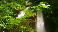 民樂群星,音樂短片 - 牧民新歌 笛子獨奏