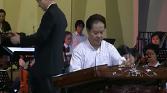 民樂群星 - 鄉村騎士(揚琴樂隊與管弦樂隊)