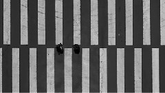 Crosswalk 預告版